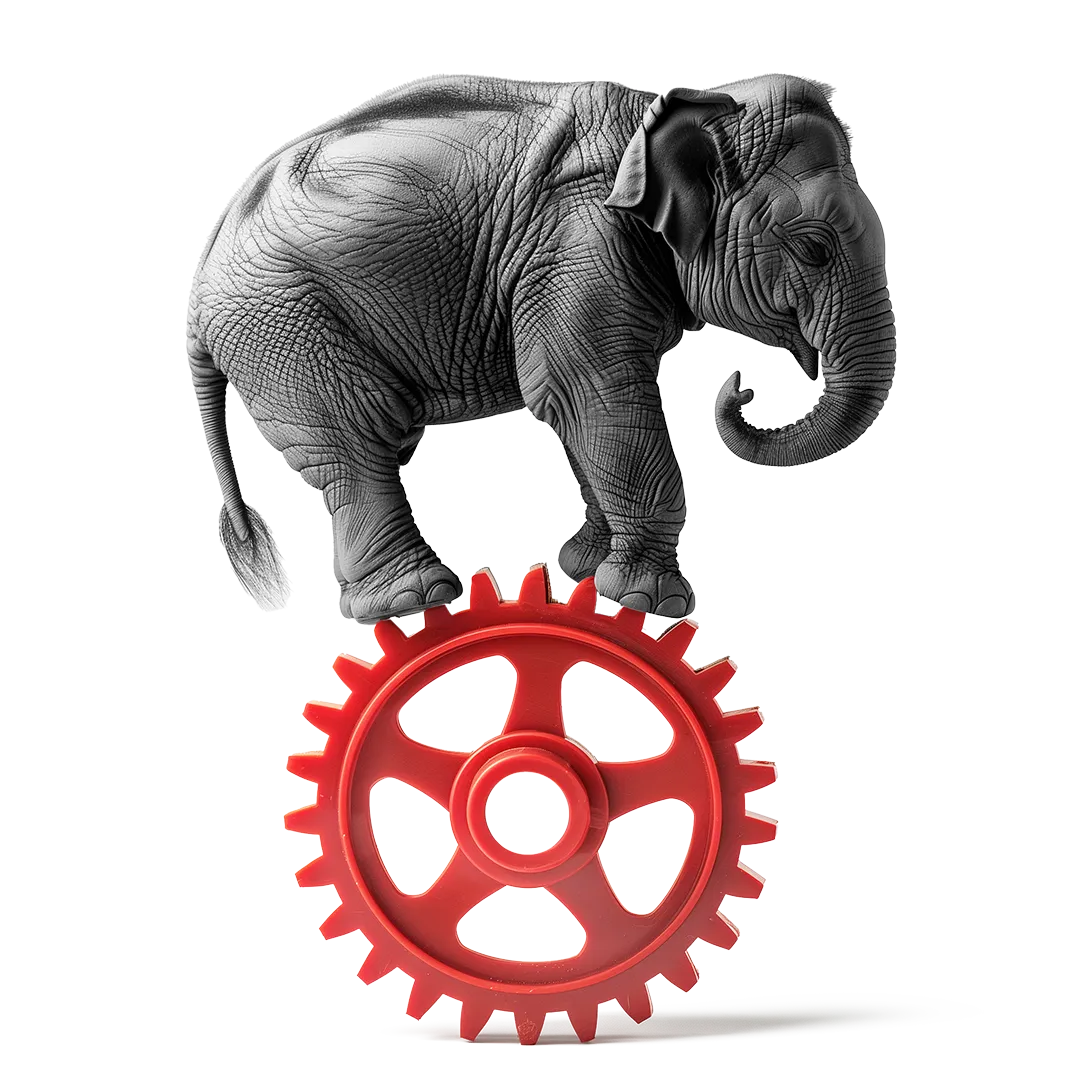 elefant_balanciert_auf_zahnrad