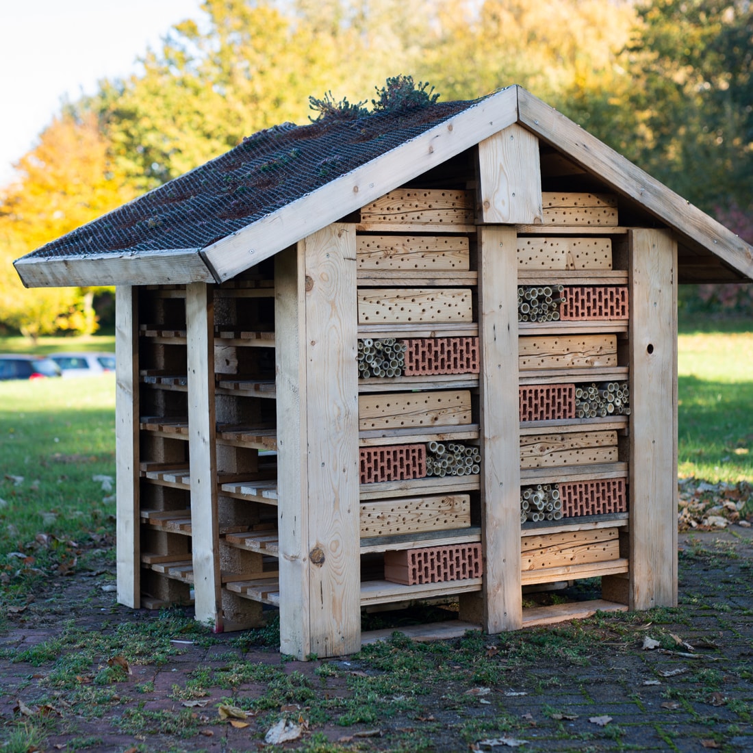 H+K Insektenhotel hunold_knoop_insektenhotel