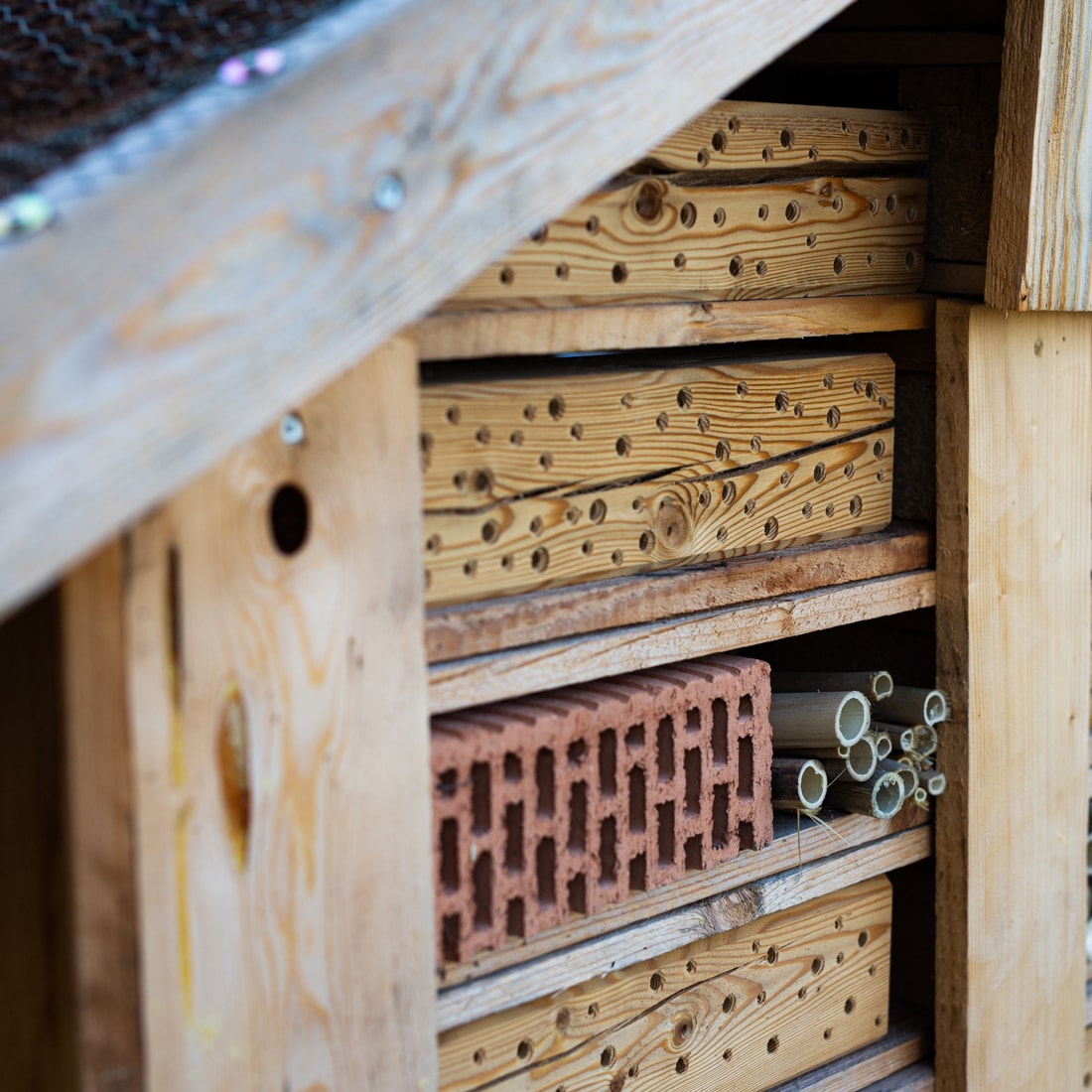 Viele Wohnungen für heimische Insekten hunold_knoop_insektenhotel-9